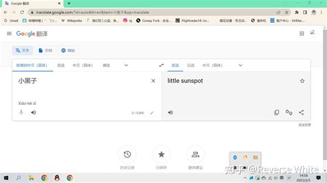 rjvcc he|Google Translate.